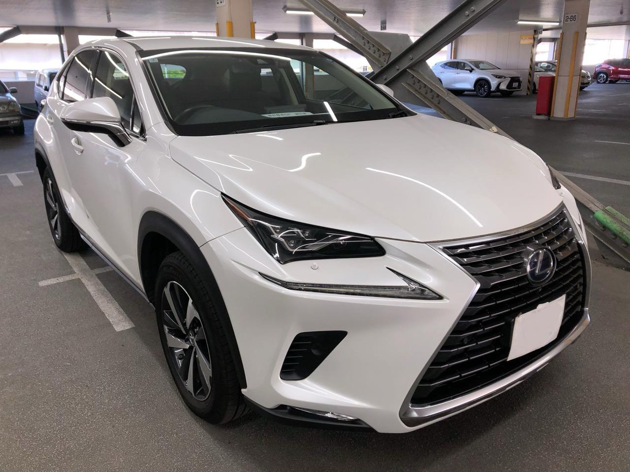 2018 Lexus NX300H