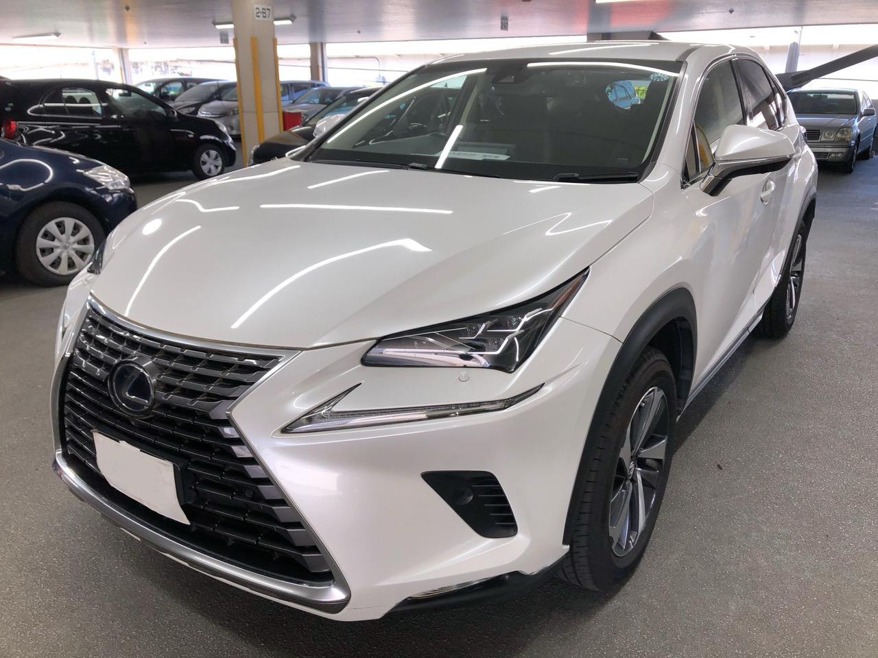 2018 Lexus NX300H
