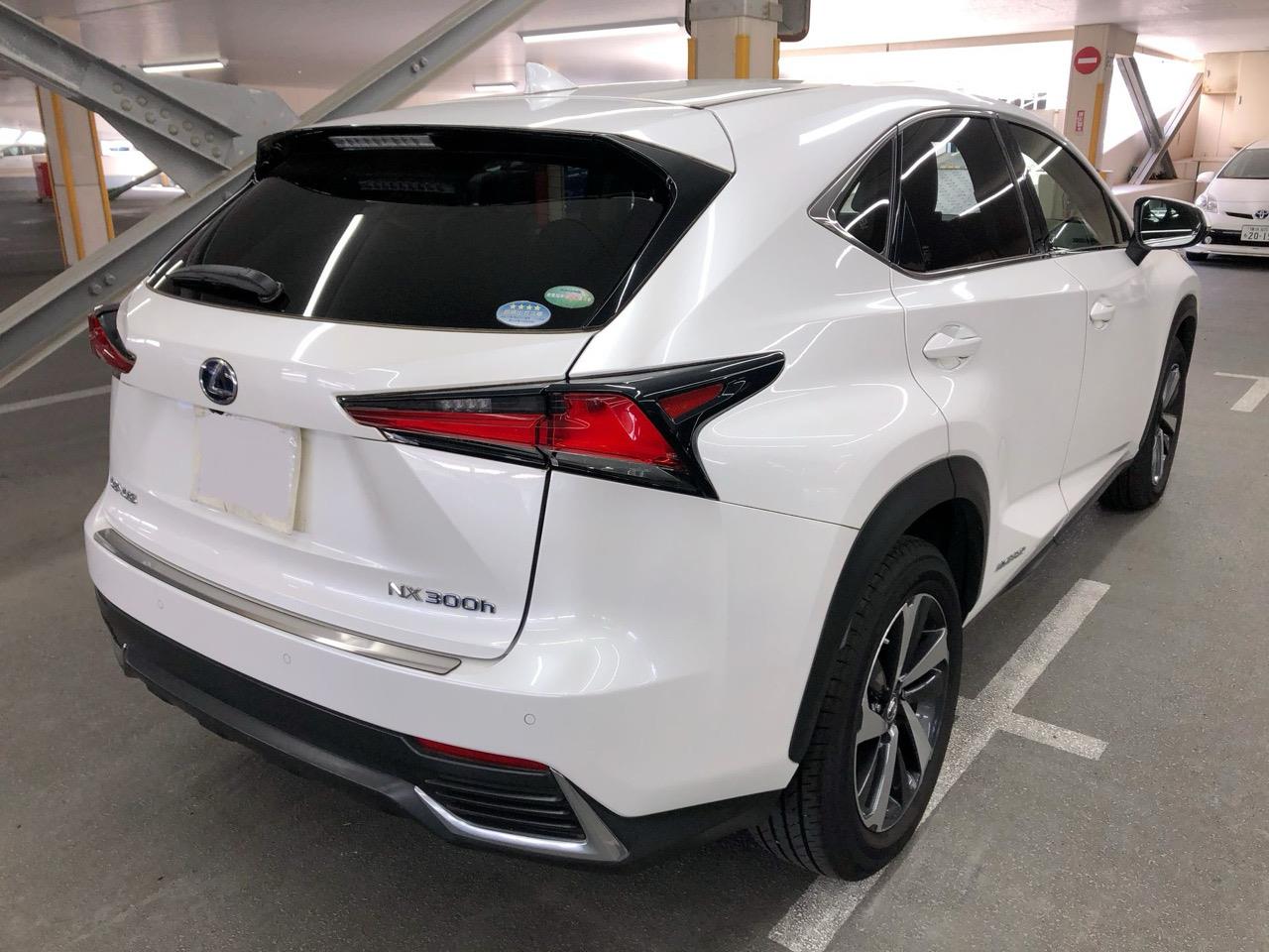 2018 Lexus NX300H