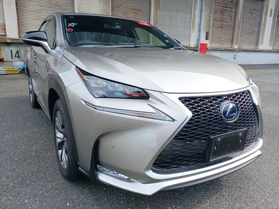2016 Lexus NX300H