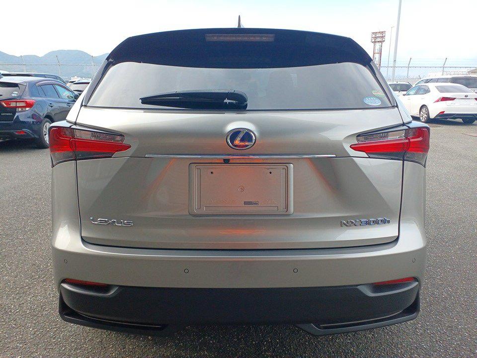 2016 Lexus NX300H