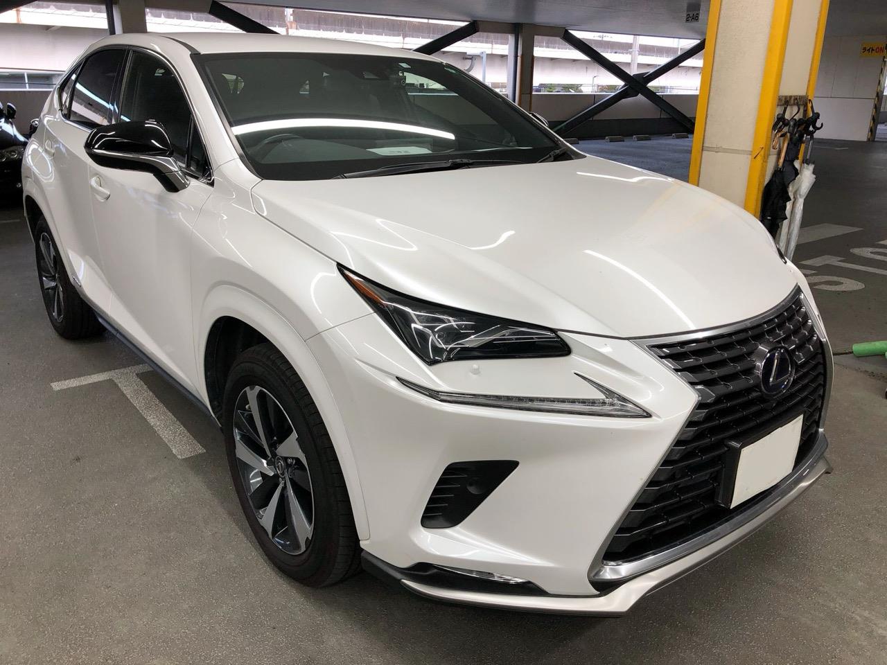 2020 Lexus NX300H