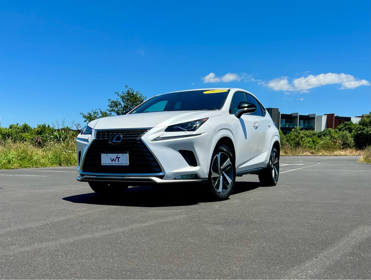 2020 Lexus NX300H