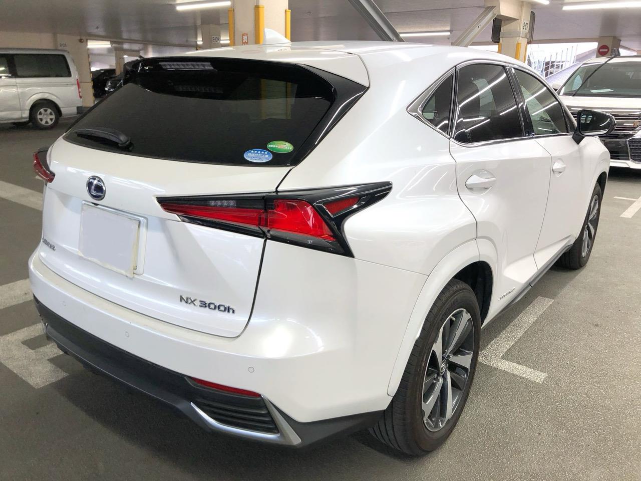 2020 Lexus NX300H