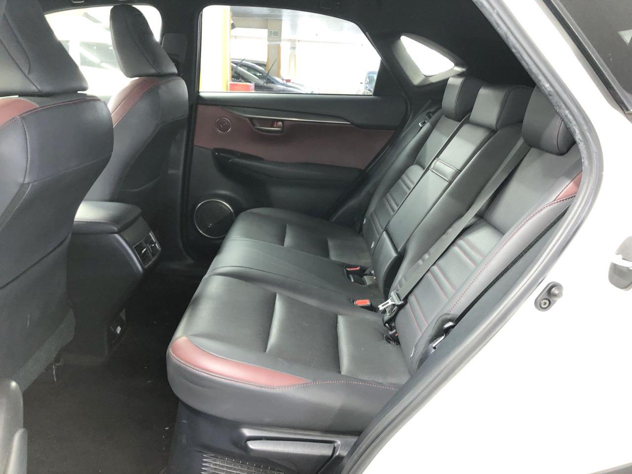 2020 Lexus NX300H