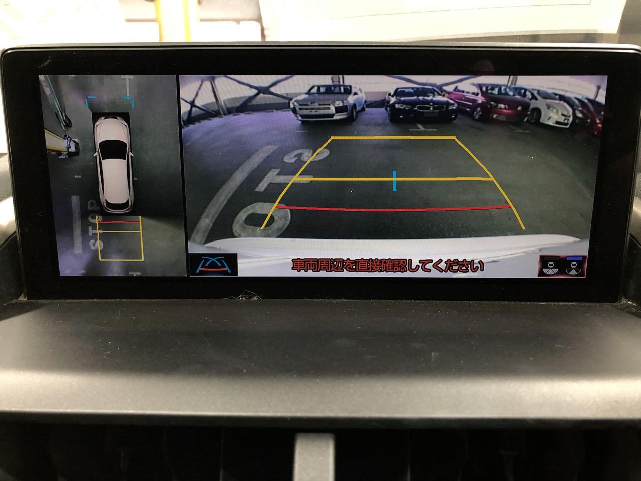 2020 Lexus NX300H
