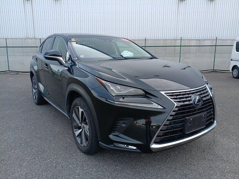 2018 Lexus NX300H