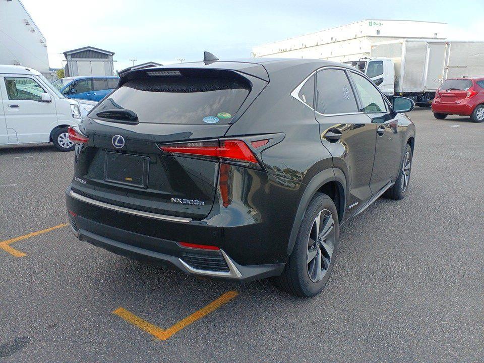 2018 Lexus NX300H