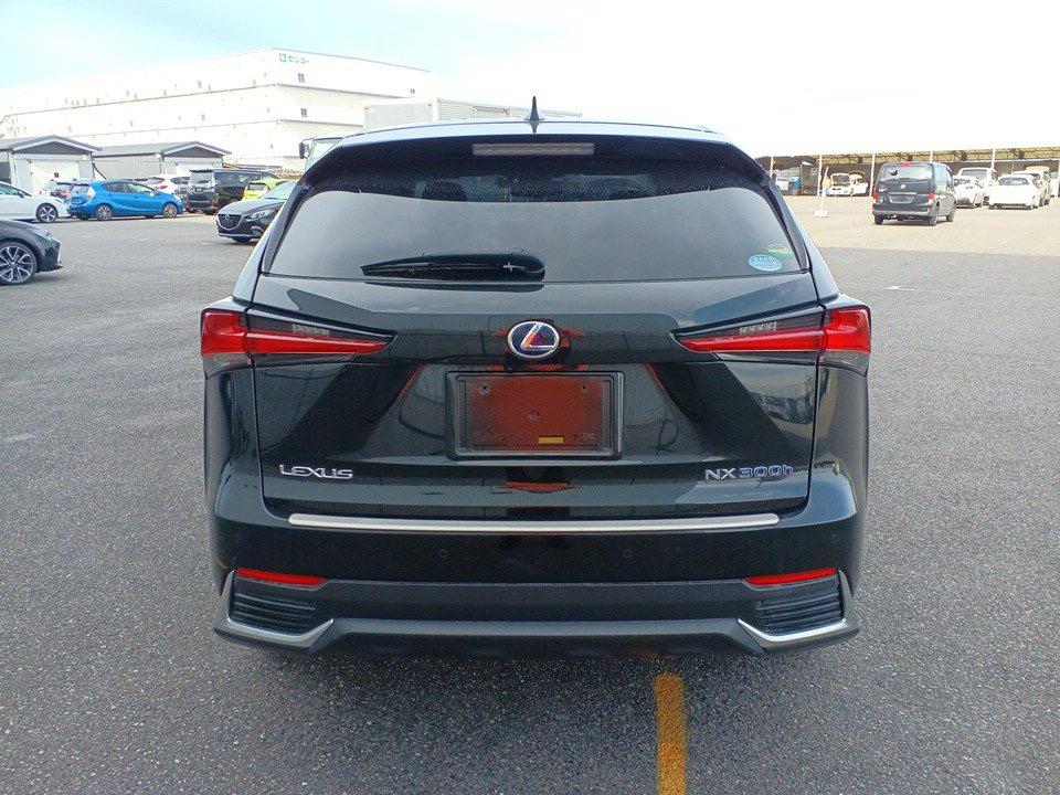 2018 Lexus NX300H