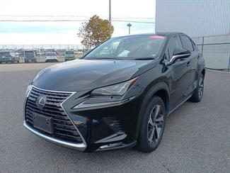 2018 Lexus NX300H - Thumbnail