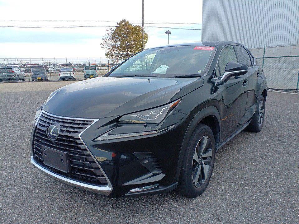 2018 Lexus NX300H