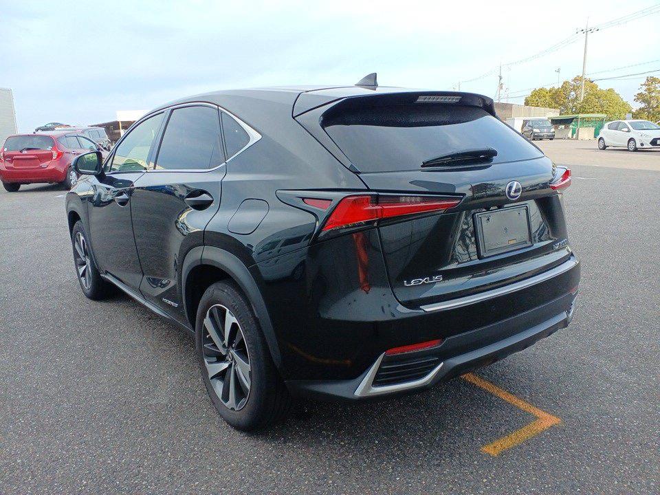 2018 Lexus NX300H