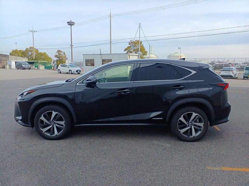 2018 Lexus NX300H
