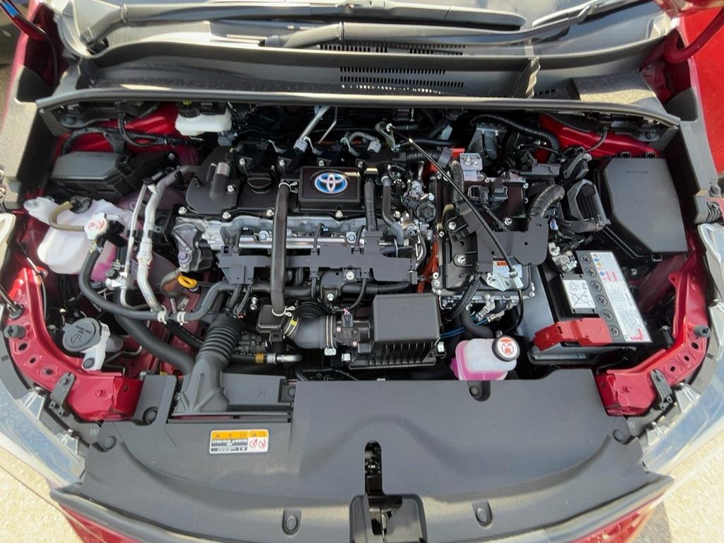 2023 Toyota Corolla