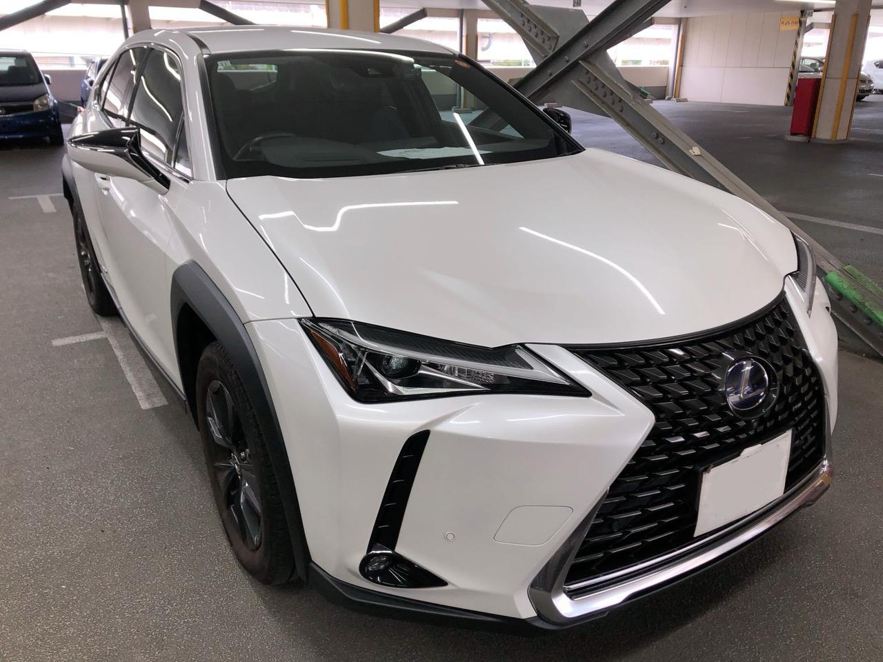 2021 Lexus UX 250H