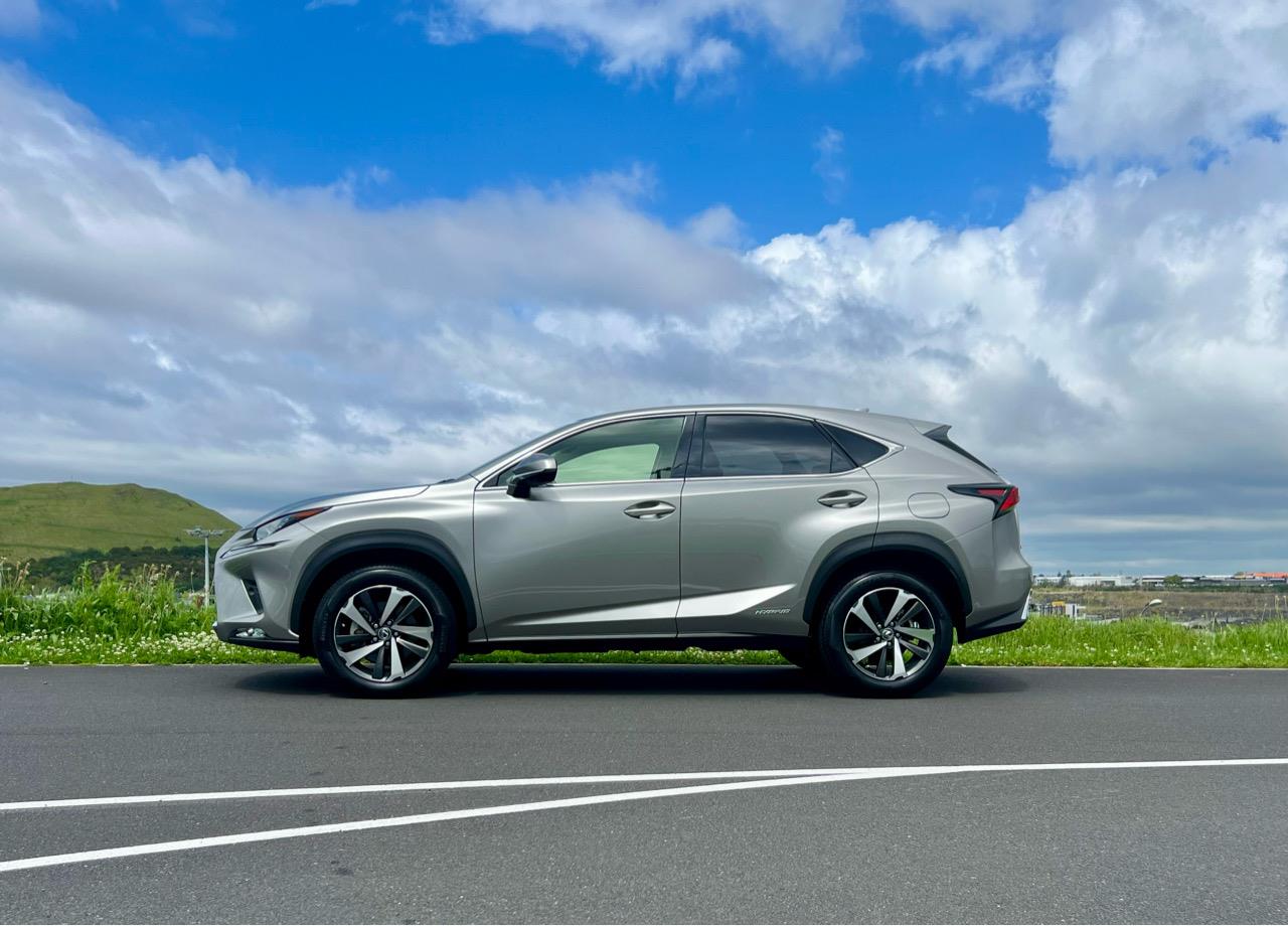 2018 Lexus NX300H