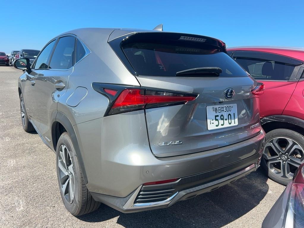 2018 Lexus NX300H