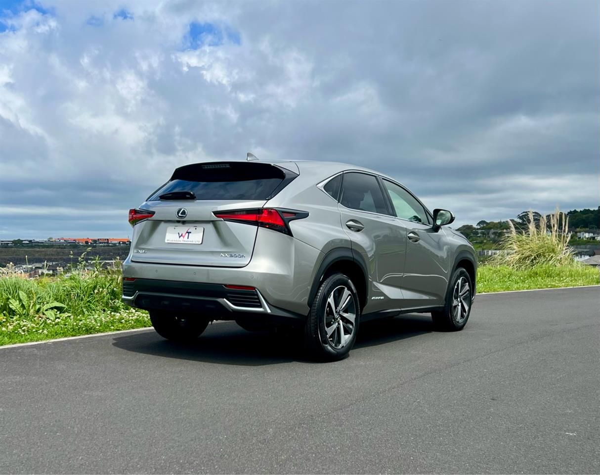 2018 Lexus NX300H